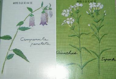 PICT0781.jpg