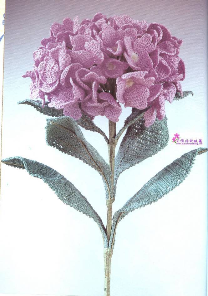 image002.jpg