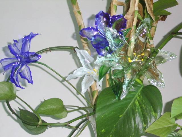 STA70239.JPG