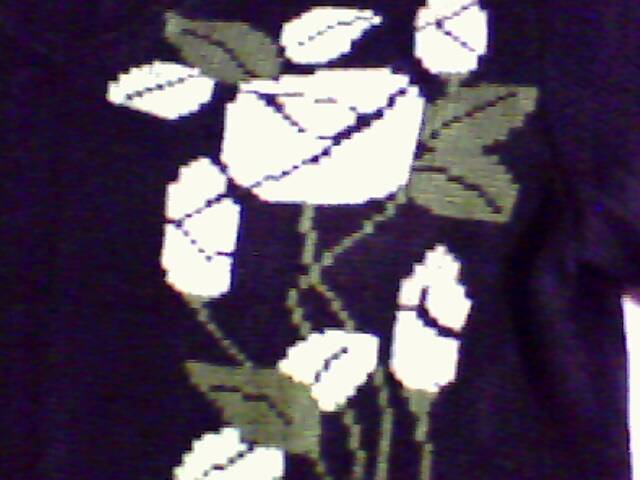 IMG0017A.jpg