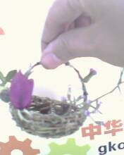 IMG0182A.jpg
