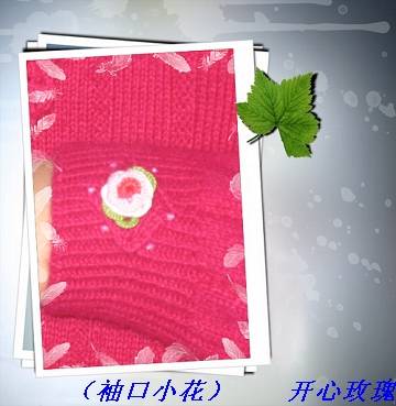 ֲ(С)