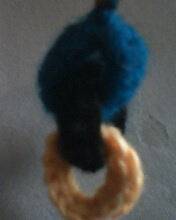 IMG0042A.jpg