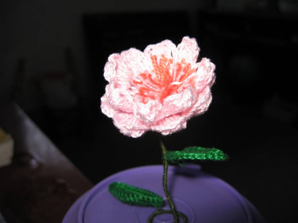 Ƭ 012.jpg