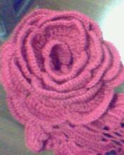 IMG0321A.jpg
