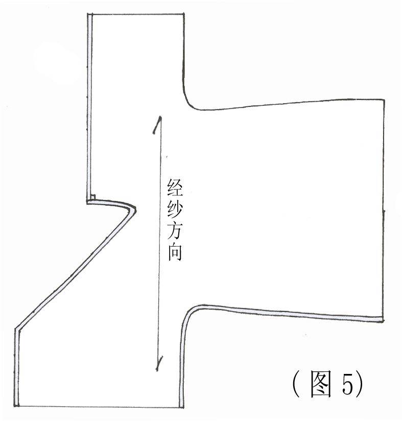 ͼ5