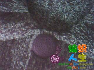 ͼƬ 038.jpg