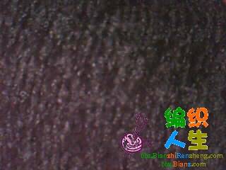 ͼƬ 039.jpg