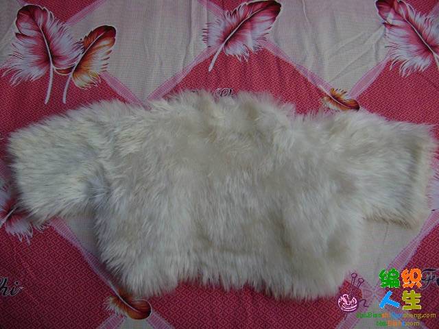 DSC00095 .jpg