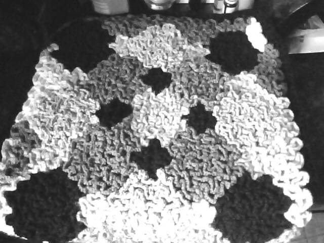 IMG0344A.jpg
