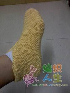 13-11-08_1932.jpg