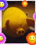 IMG0149A.jpg