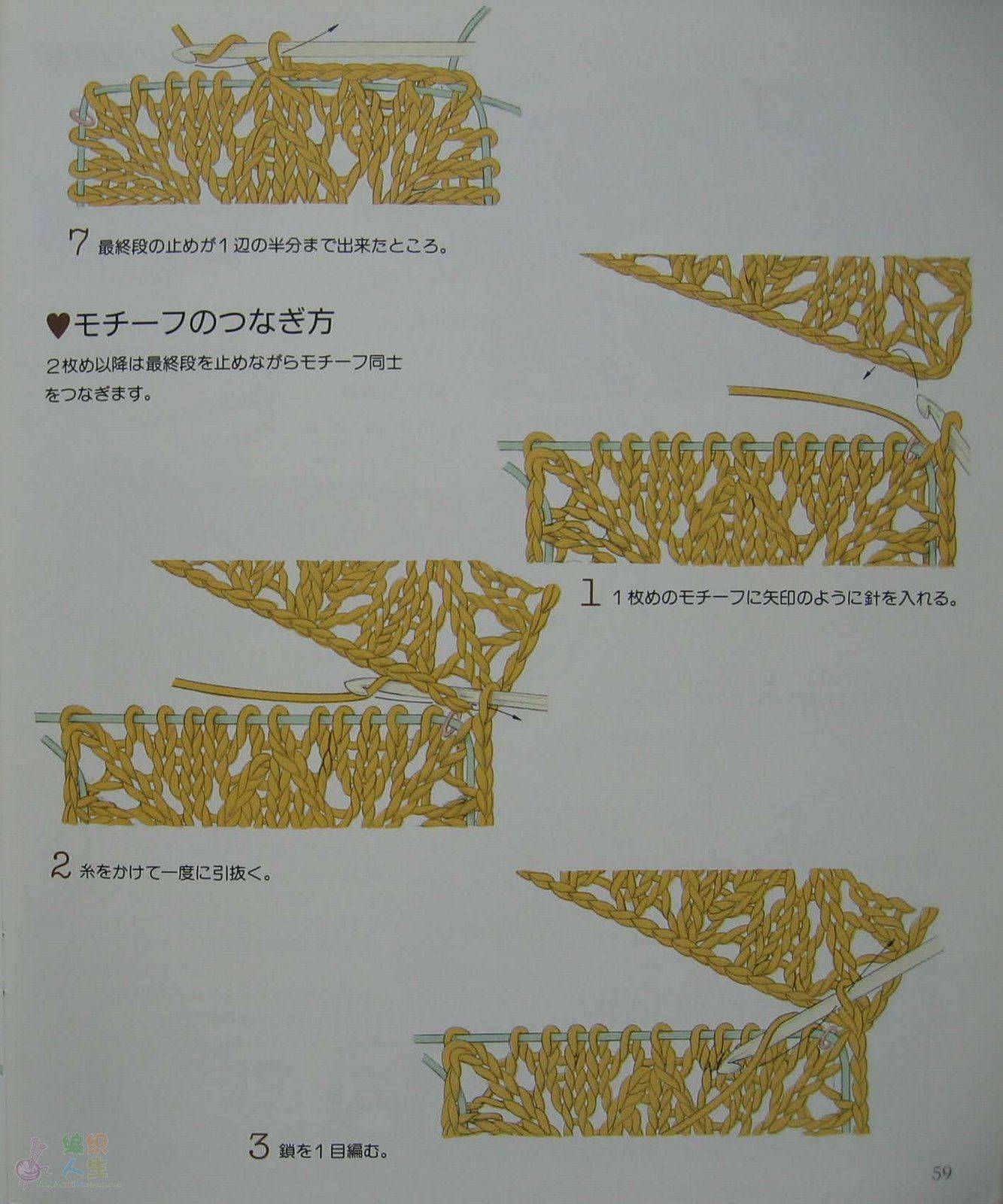 59.jpg