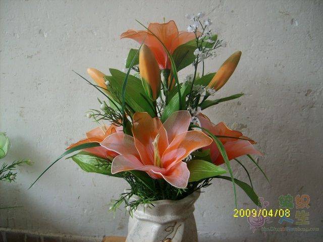 IMG00256.JPG