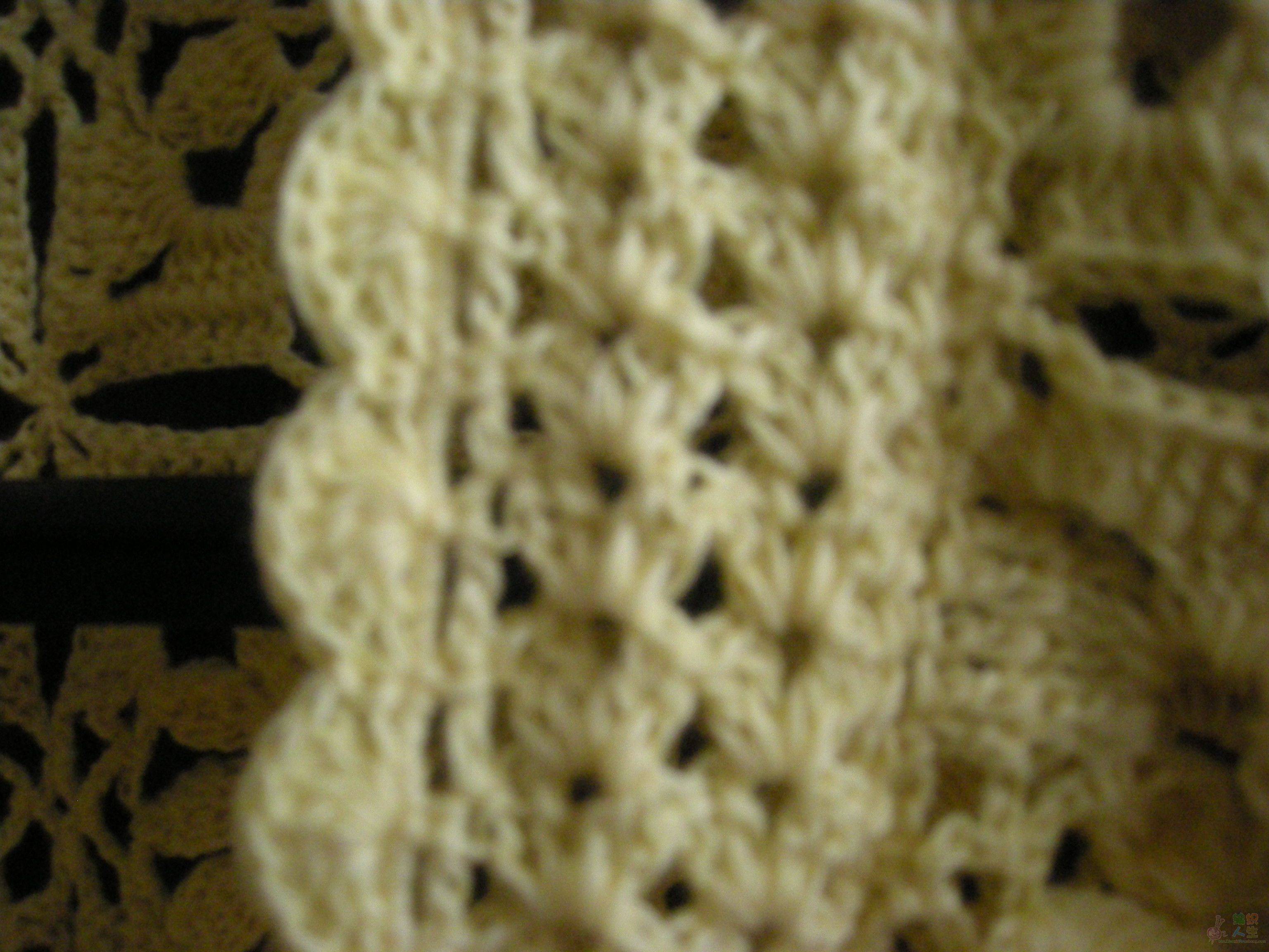 DSCN0575.JPG