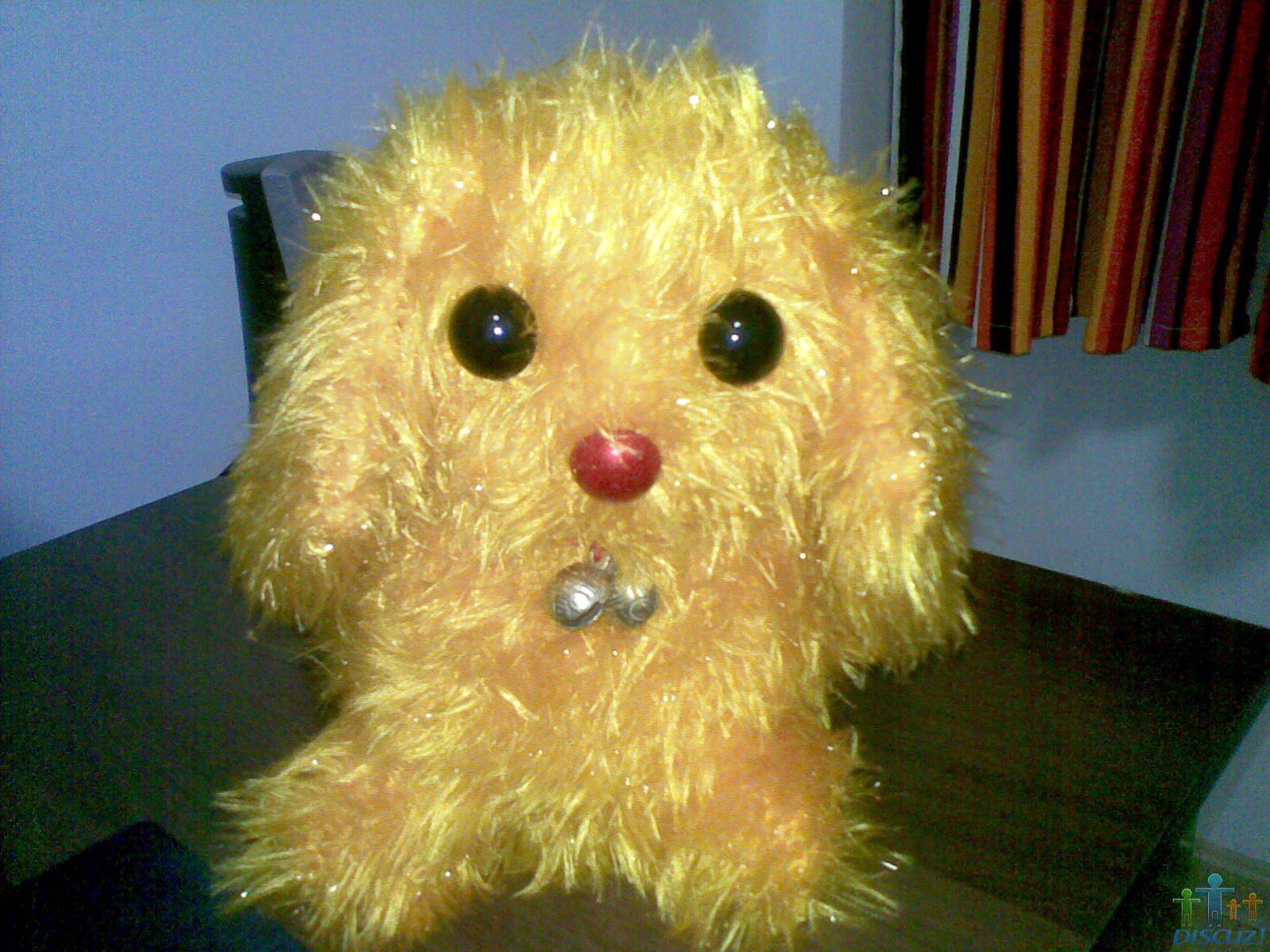 20091104(004).jpg