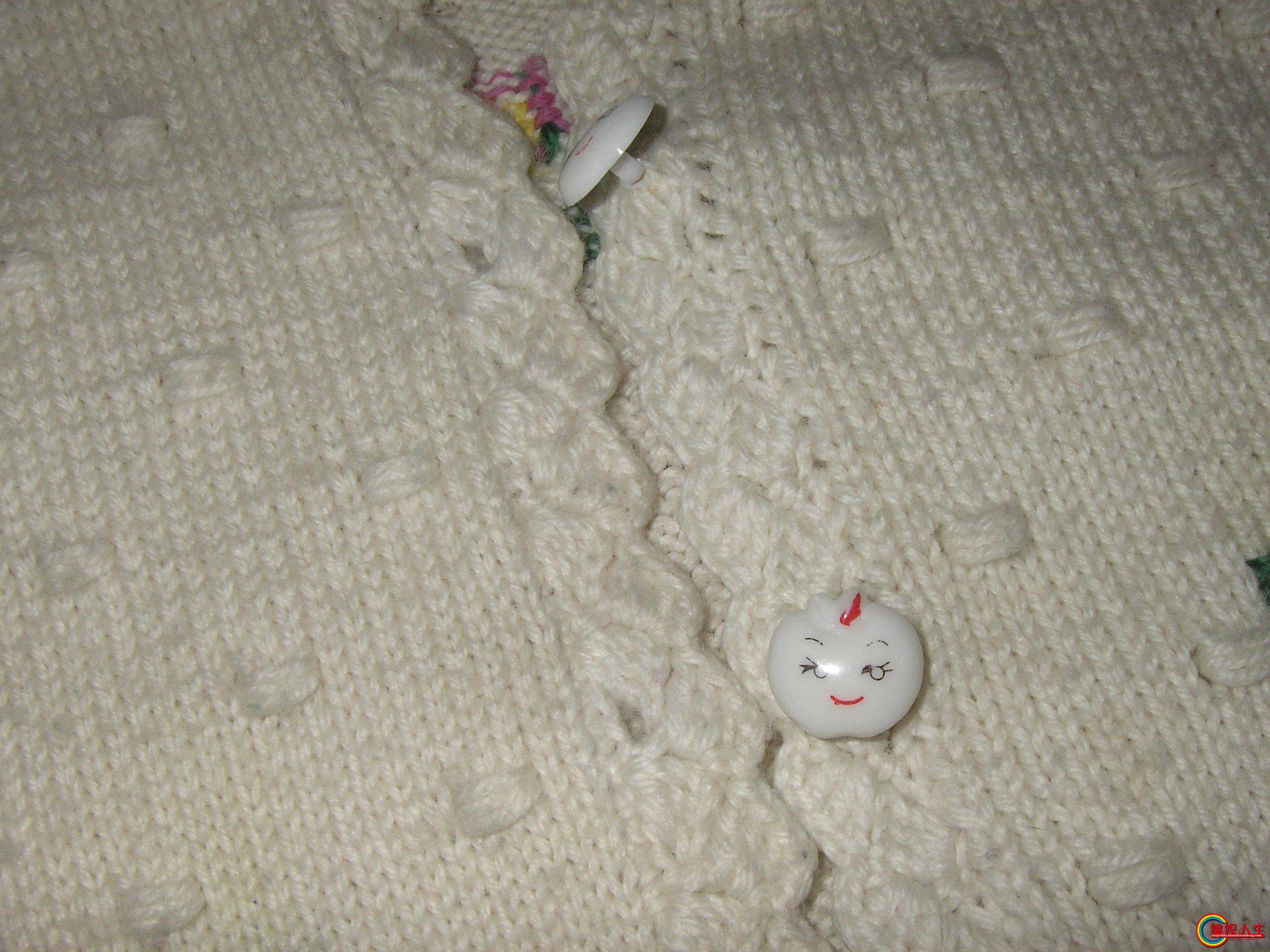 PB050154.JPG