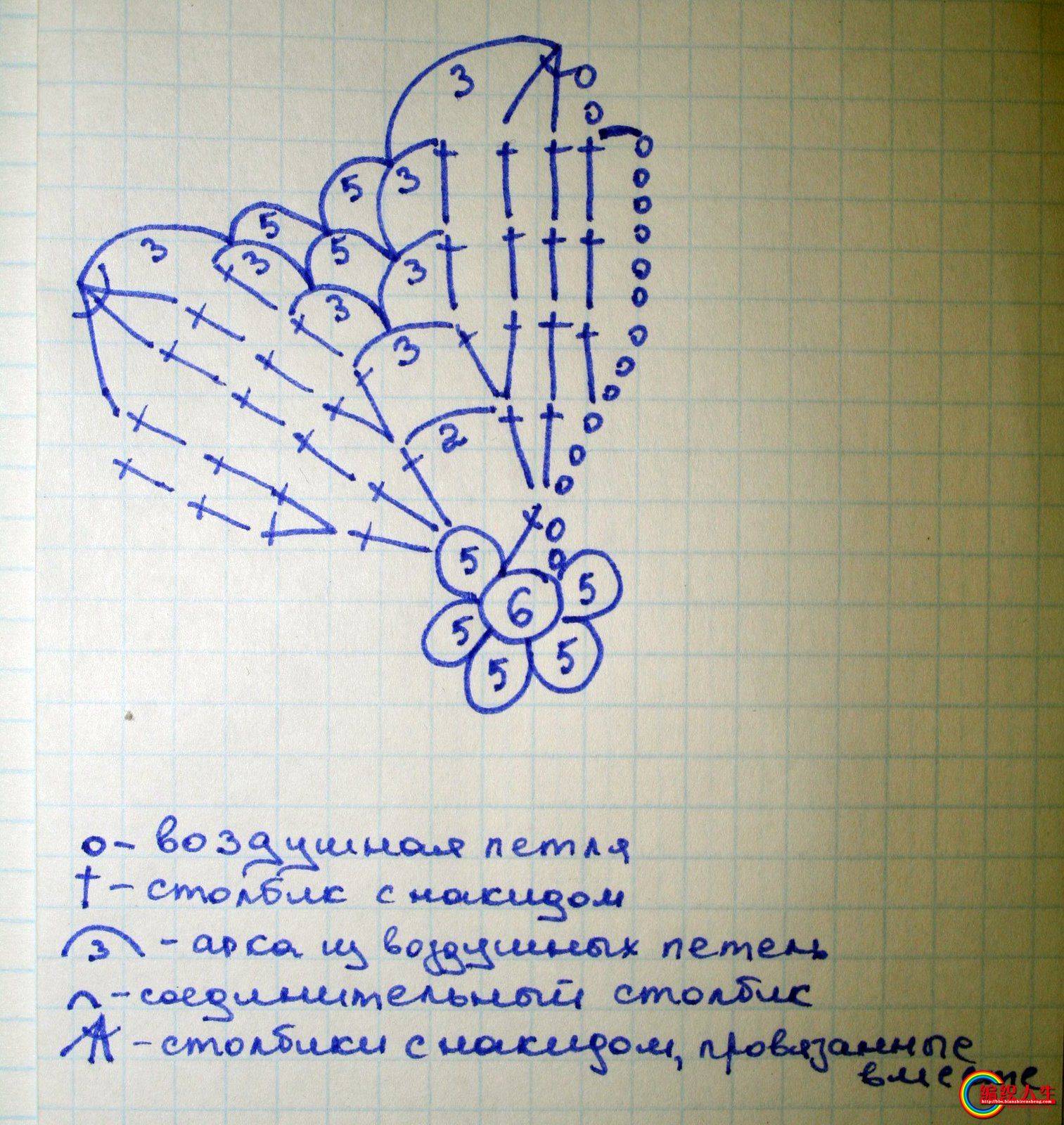 b77f53f44fae.jpg