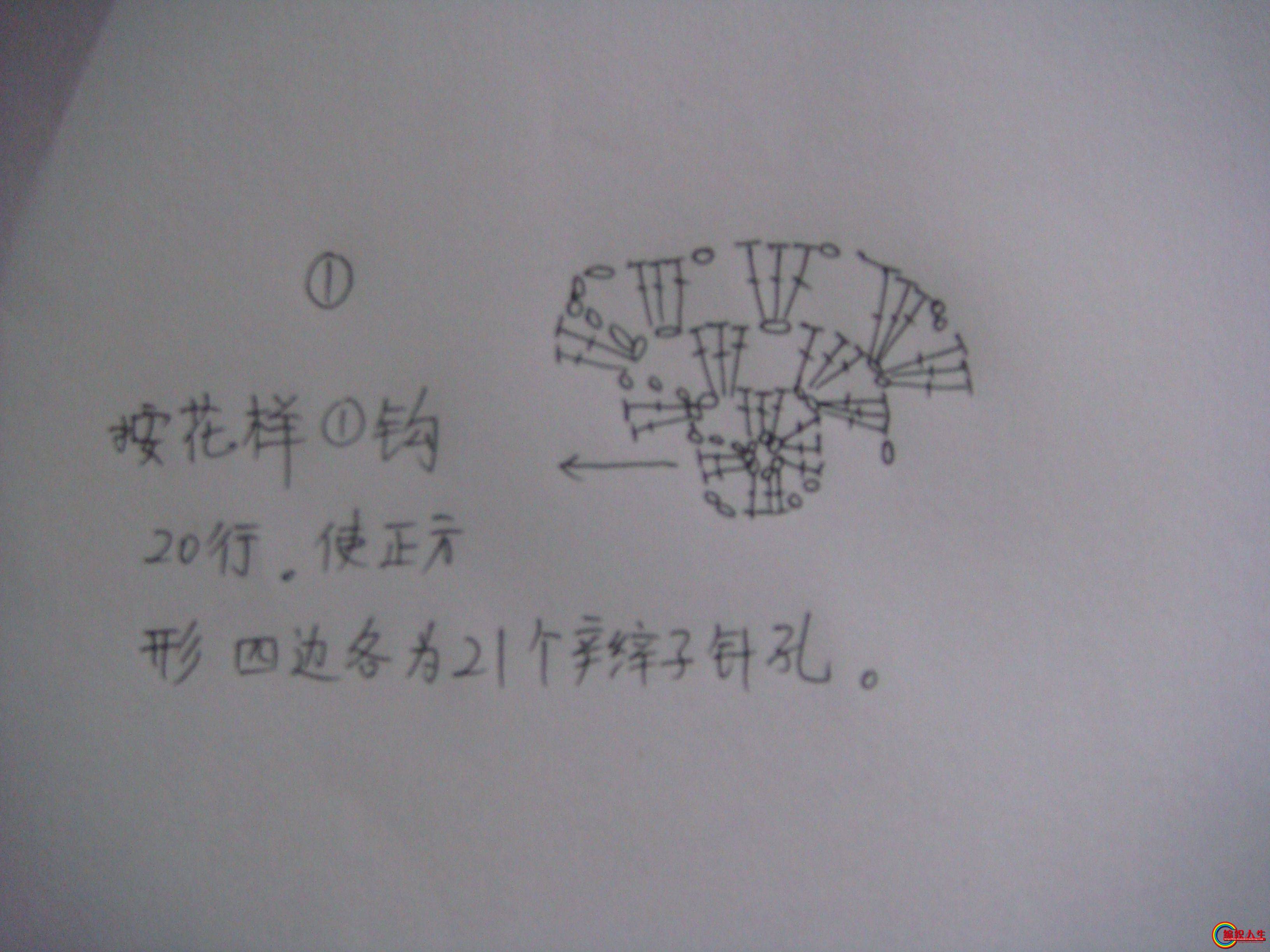 DSC00854.JPG
