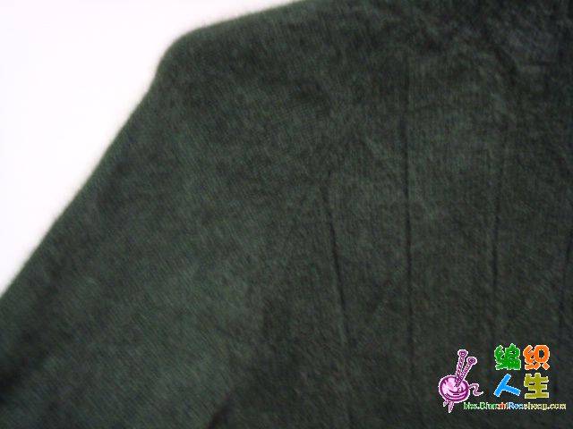 DSC01462.JPG