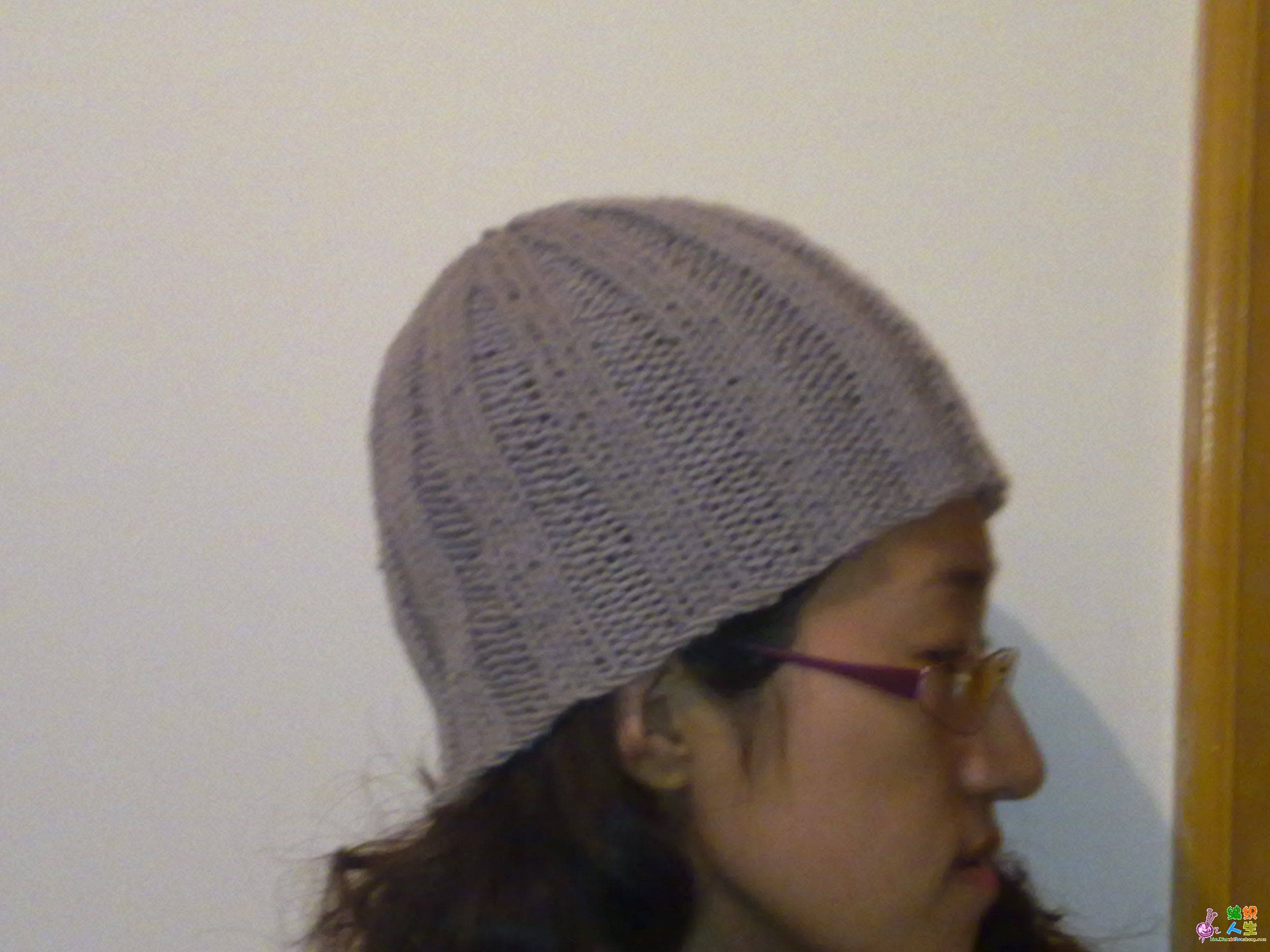 20100130047.jpg
