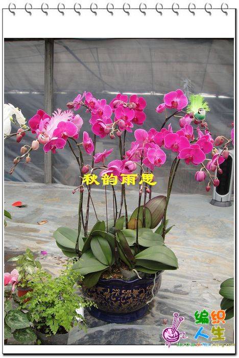 nEO_IMG_DSC00336.jpg