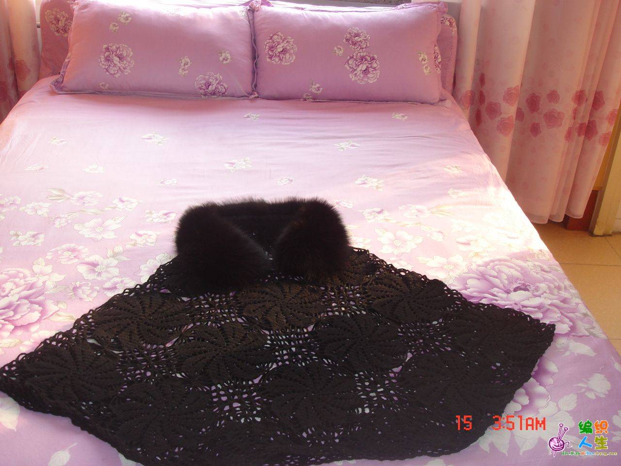 DSC07744.JPG