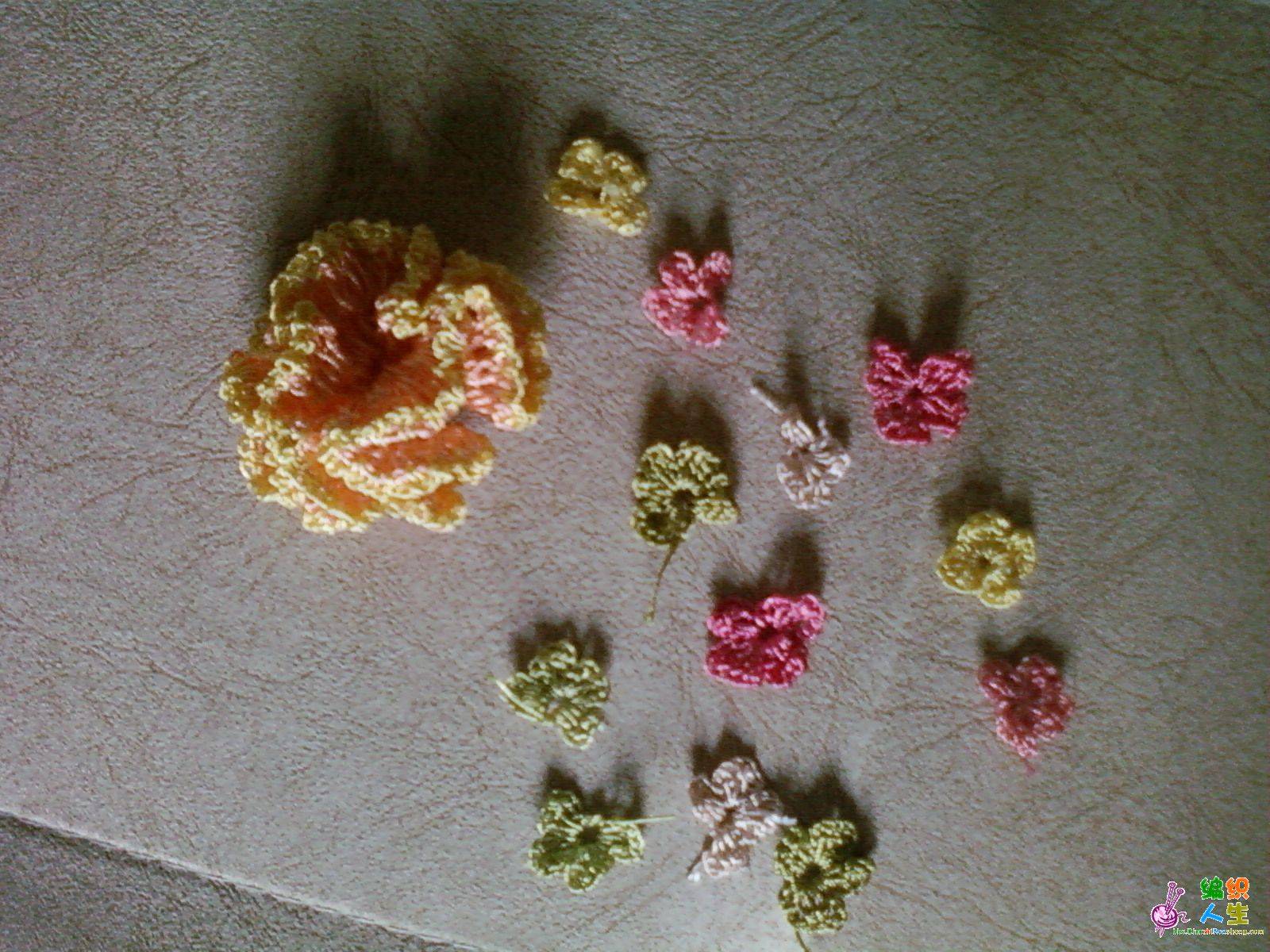 Ƭ-0048.jpg