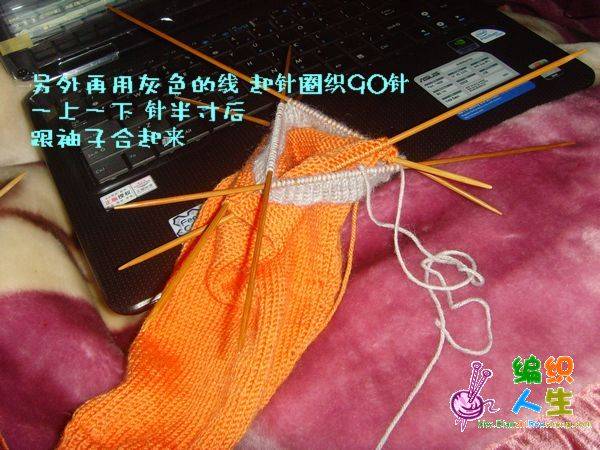 SNV33246.JPG
