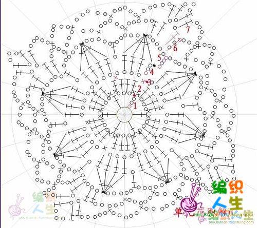 夏雪1977回馈支持我的姐妹们：花开了（有图解）