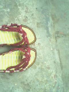 IMG0230A.jpg
