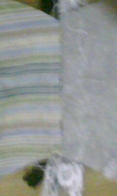 IMG0292A.jpg